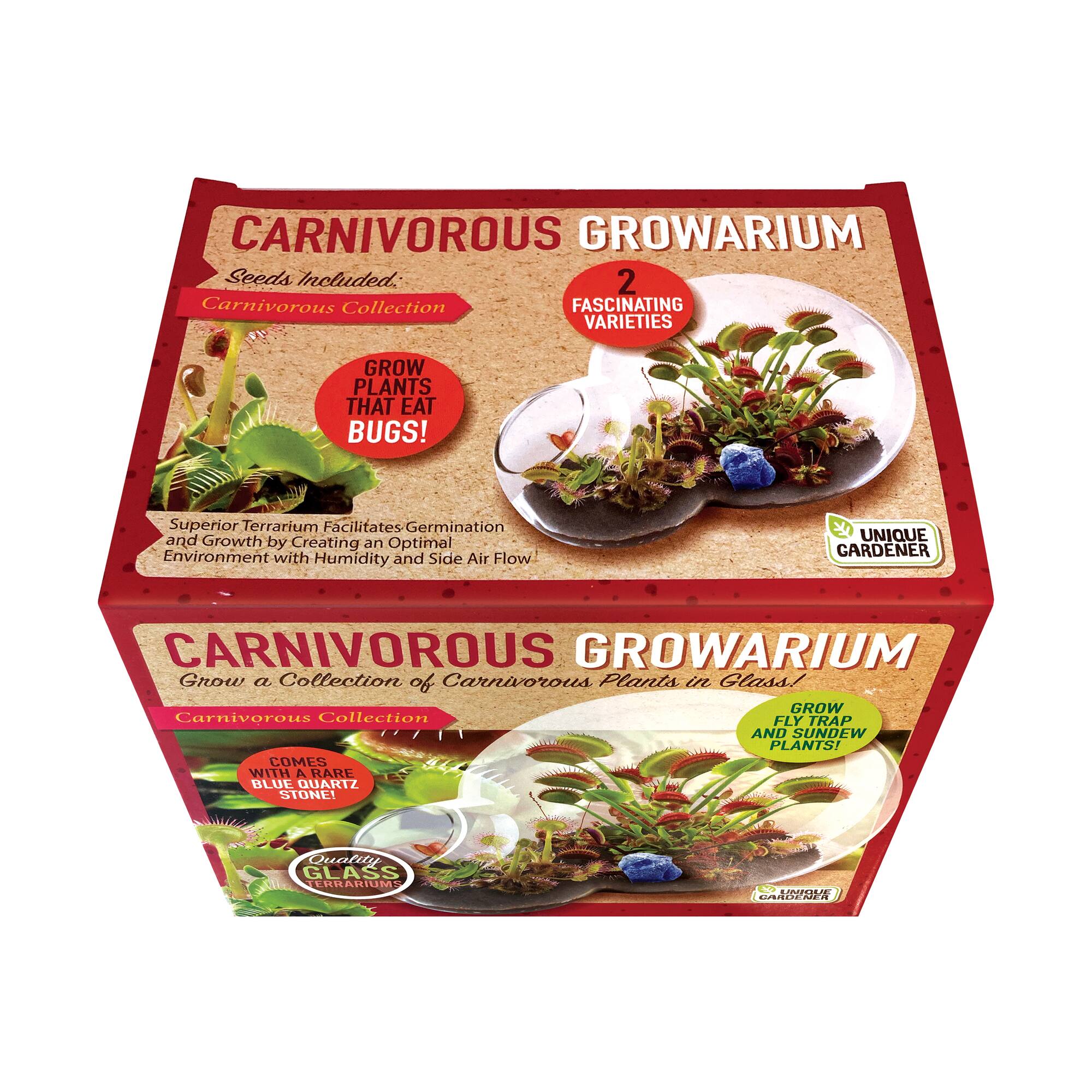 Double Sphere Glass Terrarium - Carnivorous Growarium